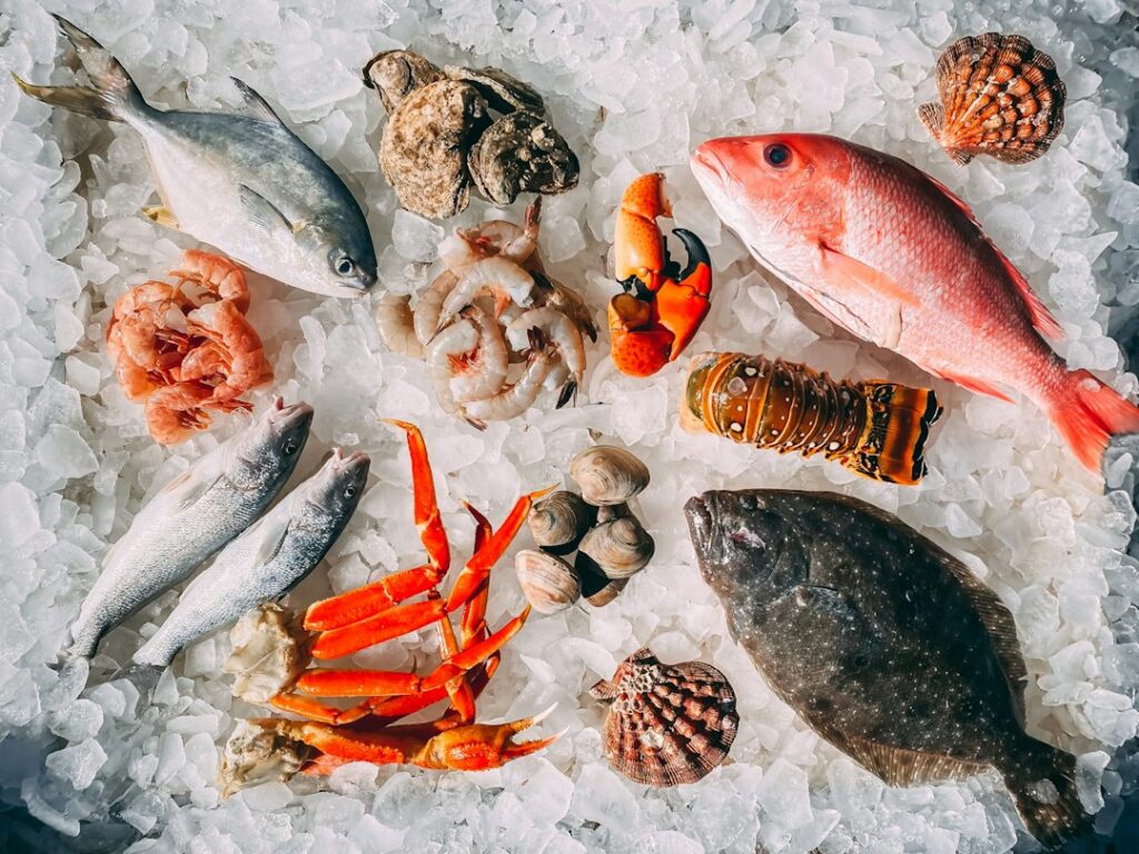 魚介類の参考写真。さかな検定の合格証拠ではありません